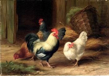 Cocks 078, unknow artist